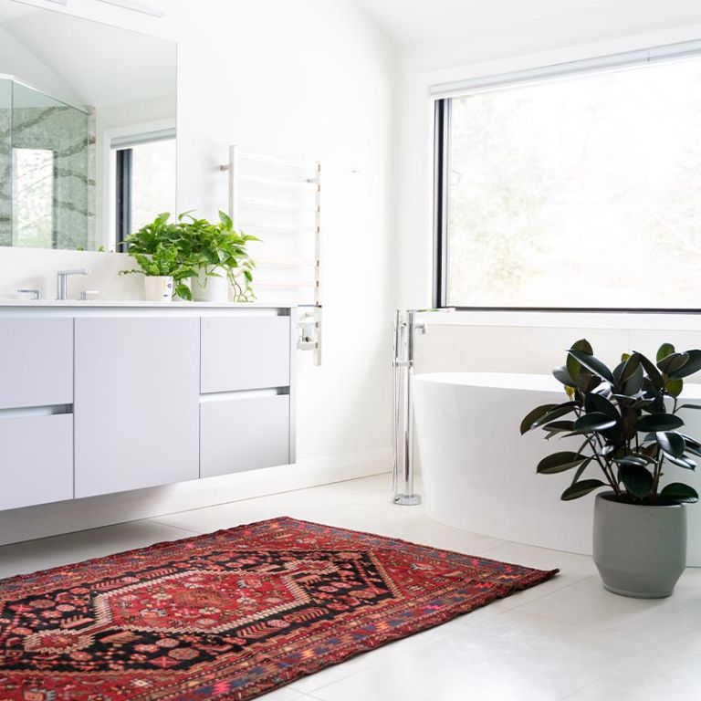 Xpels decorative window film