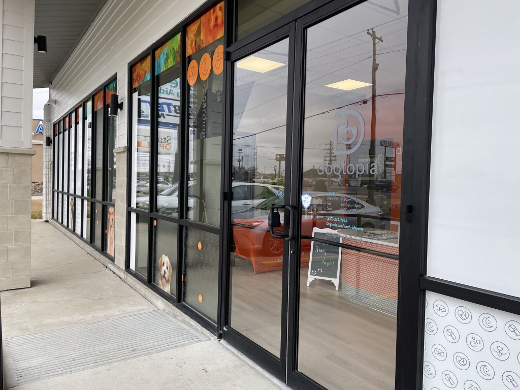 Xpel Vision Window Tint on Dogtopia in Lafayette La. by Prestige Films